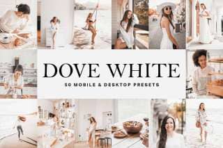 50 Dove White Lightroom Presets and LUTs