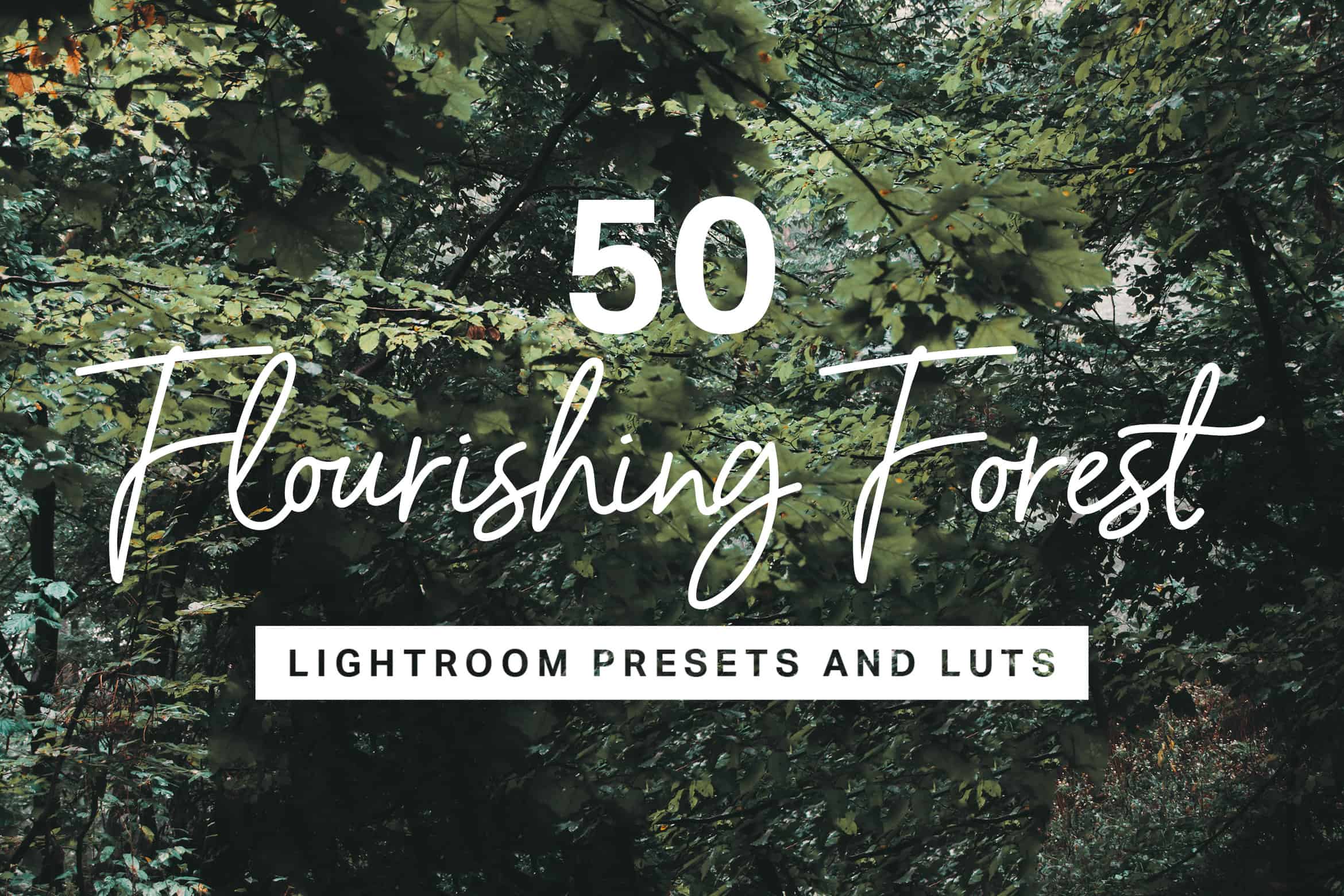 50 Flourishing Forest Lightroom Presets and LUTs