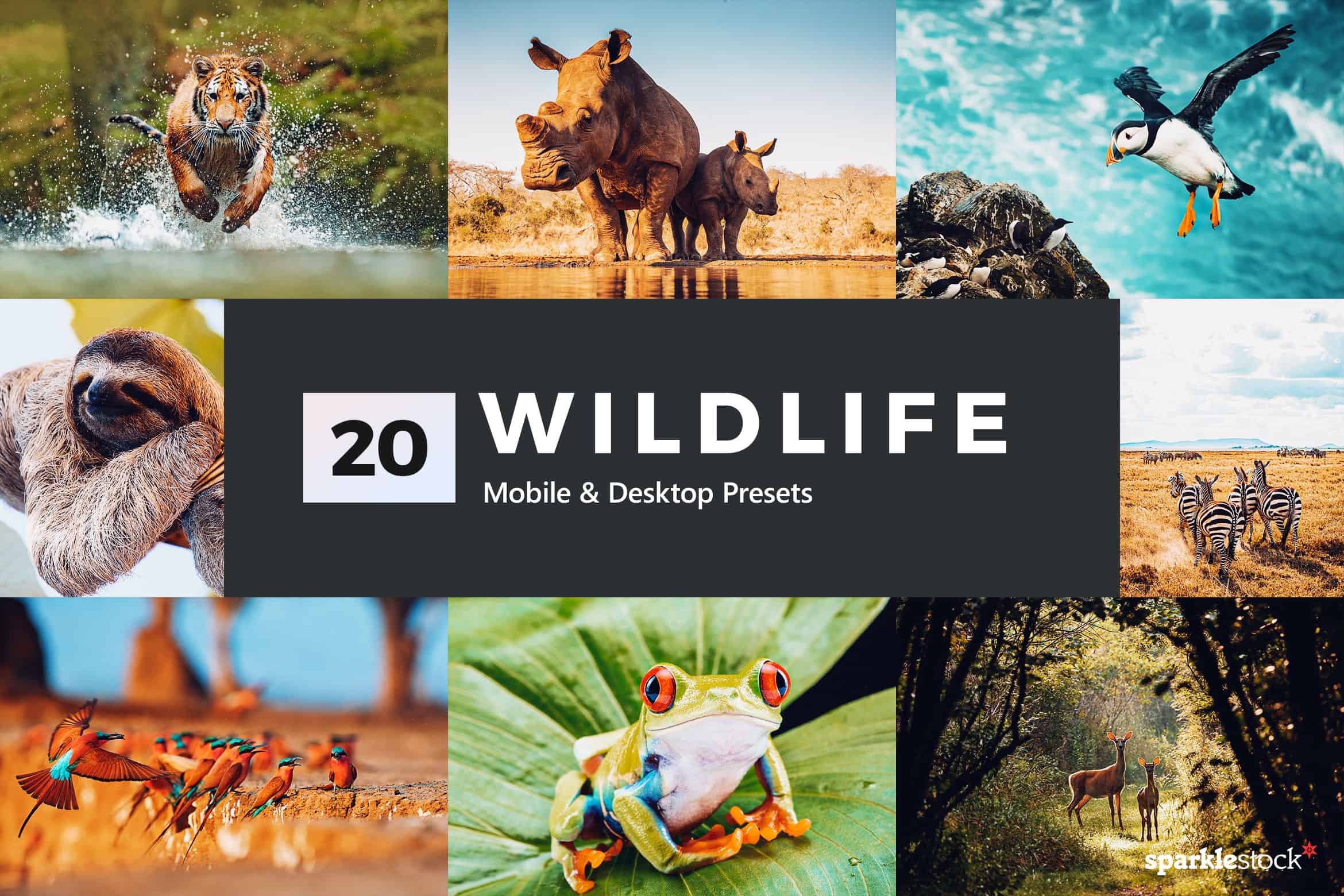 20 Wildlife Lightroom Presets and LUTs