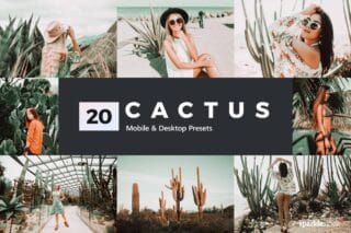 20 Cactus Lightroom Presets and LUTs