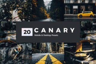 20 Canary Yellow Lightroom Presets and LUTs