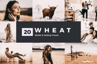 20 Wheat Lightroom Presets and LUTs