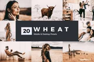 20 Wheat Lightroom Presets and LUTs