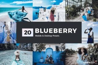 20 Blueberry Lightroom Presets and LUTs