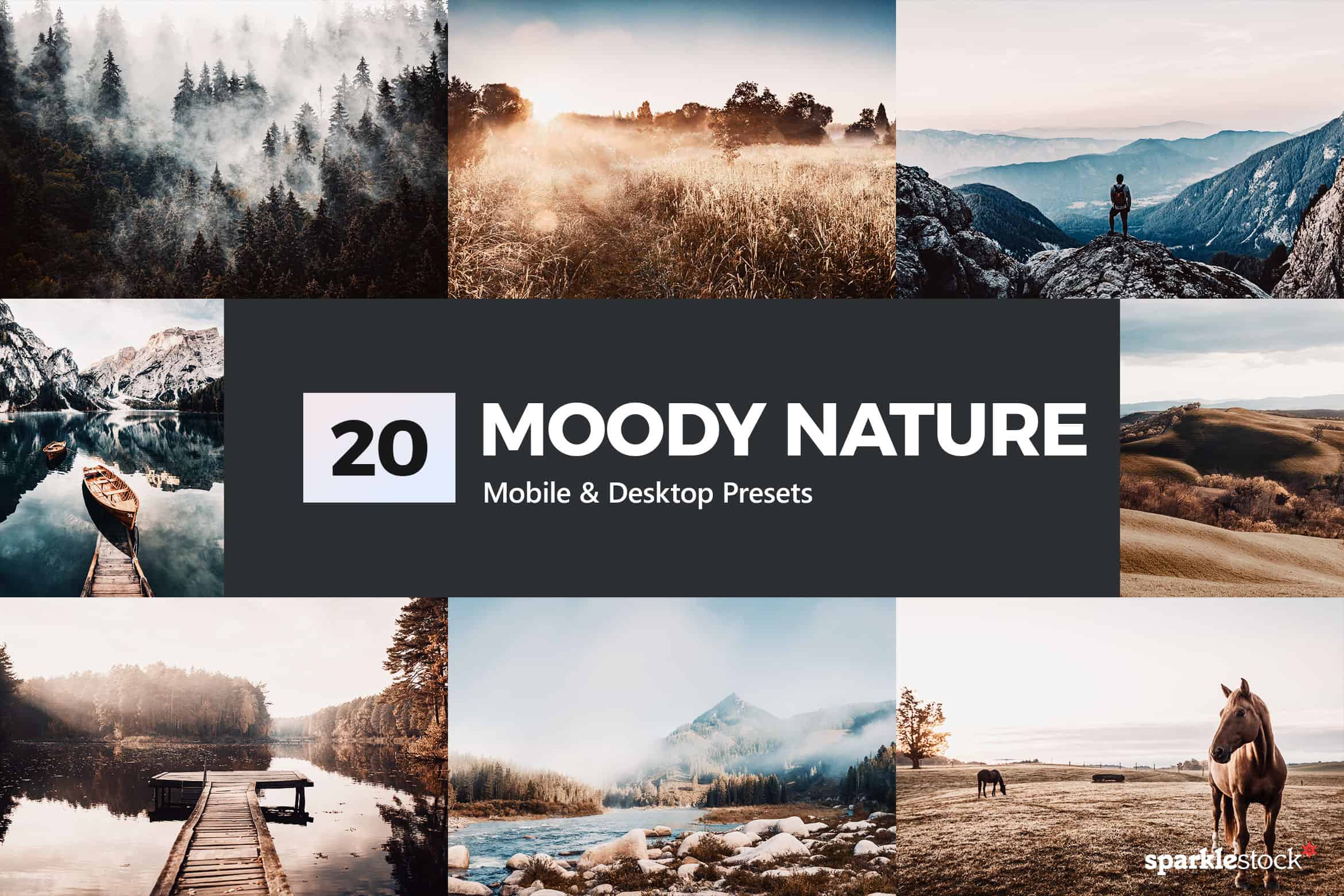 20 Moody Nature Lightroom Presets and LUTs