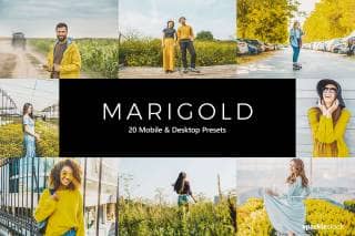 20 Marigold Lightroom Presets and LUTs