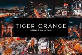 20 Tiger Orange Lightroom Presets and LUTs