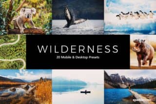 20 Wilderness Lightroom Presets and LUTs