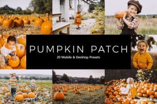 20 Pumpkin Patch Lightroom Presets and LUTs