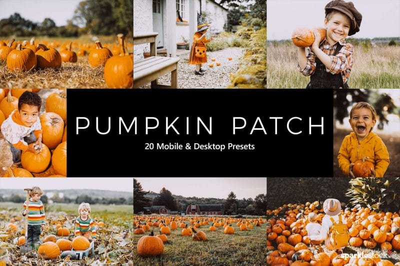 20 Pumpkin Patch Lightroom Presets and LUTs