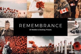 20 Remembrance Lightroom Presets and LUTs