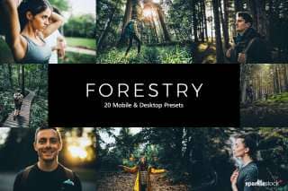 20 Forestry Lightroom Presets and LUTs