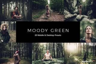 20 Moody Green Lightroom Presets and LUTs