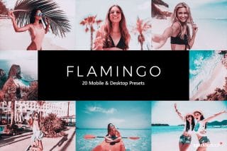 20 Flamingo Lightroom Presets and LUTs