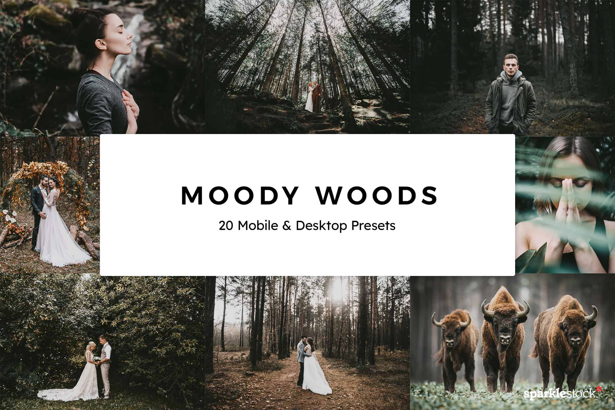20 Moody Woods Lightroom Presets and LUTs
