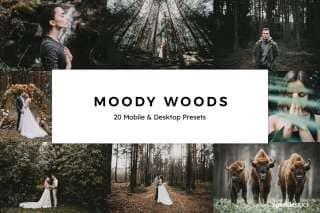 20 Moody Woods Lightroom Presets and LUTs
