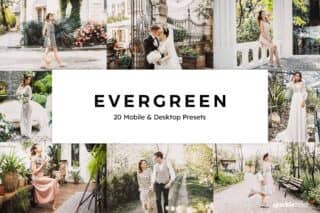 20 Evergreen Lightroom Presets and LUTs