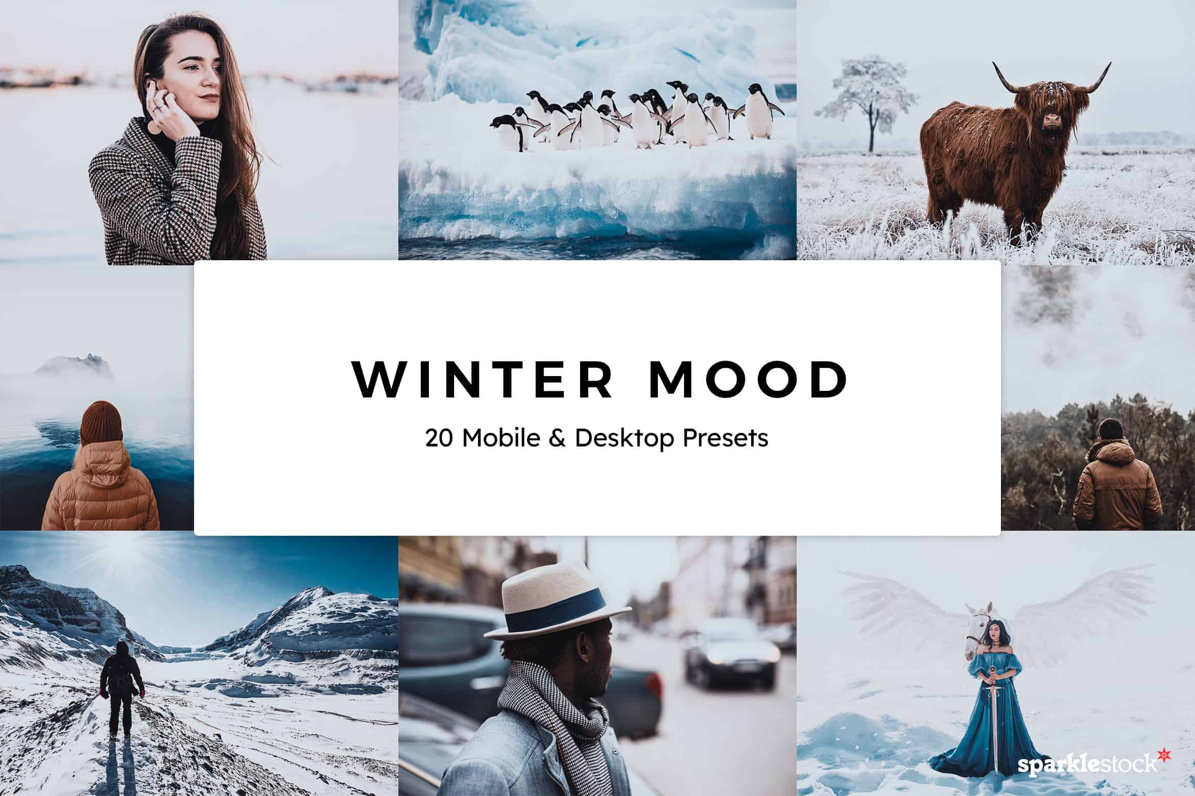 20 Winter Mood Lightroom Presets and LUTs