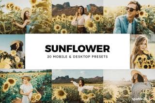 20 Sunflower Lightroom Presets and LUTs