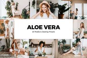 20 Aloe Vera Lightroom Presets and LUTs