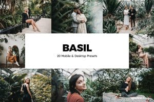 20 Basil Lightroom Presets and LUTs