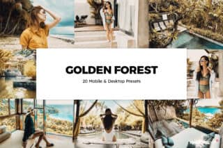 20 Golden Forest Lightroom Presets and LUTs