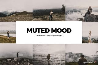 20 Muted Mood Lightroom Presets and LUTs