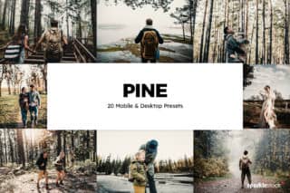 20 Pine Lightroom Presets and LUTs