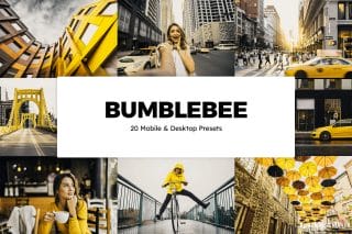 20 Bumblebee Lightroom Presets and LUTs