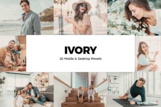 20 Ivory Lightroom Presets and LUTs
