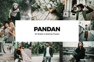 20 Pandan Lightroom Presets and LUTs