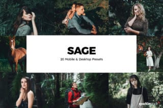 20 Sage Lightroom Presets and LUTs
