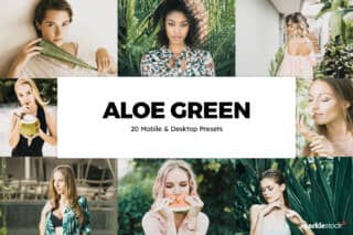 20 Aloe Green Lightroom Presets and LUTs