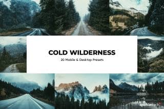 20 Cold Wilderness Lightroom Presets and LUTs