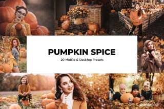 20 Pumpkin Spice Lightroom Presets and LUTs