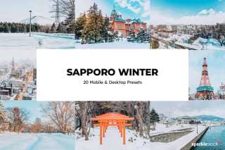 20 Sapporo Winter Lightroom Presets and LUTs