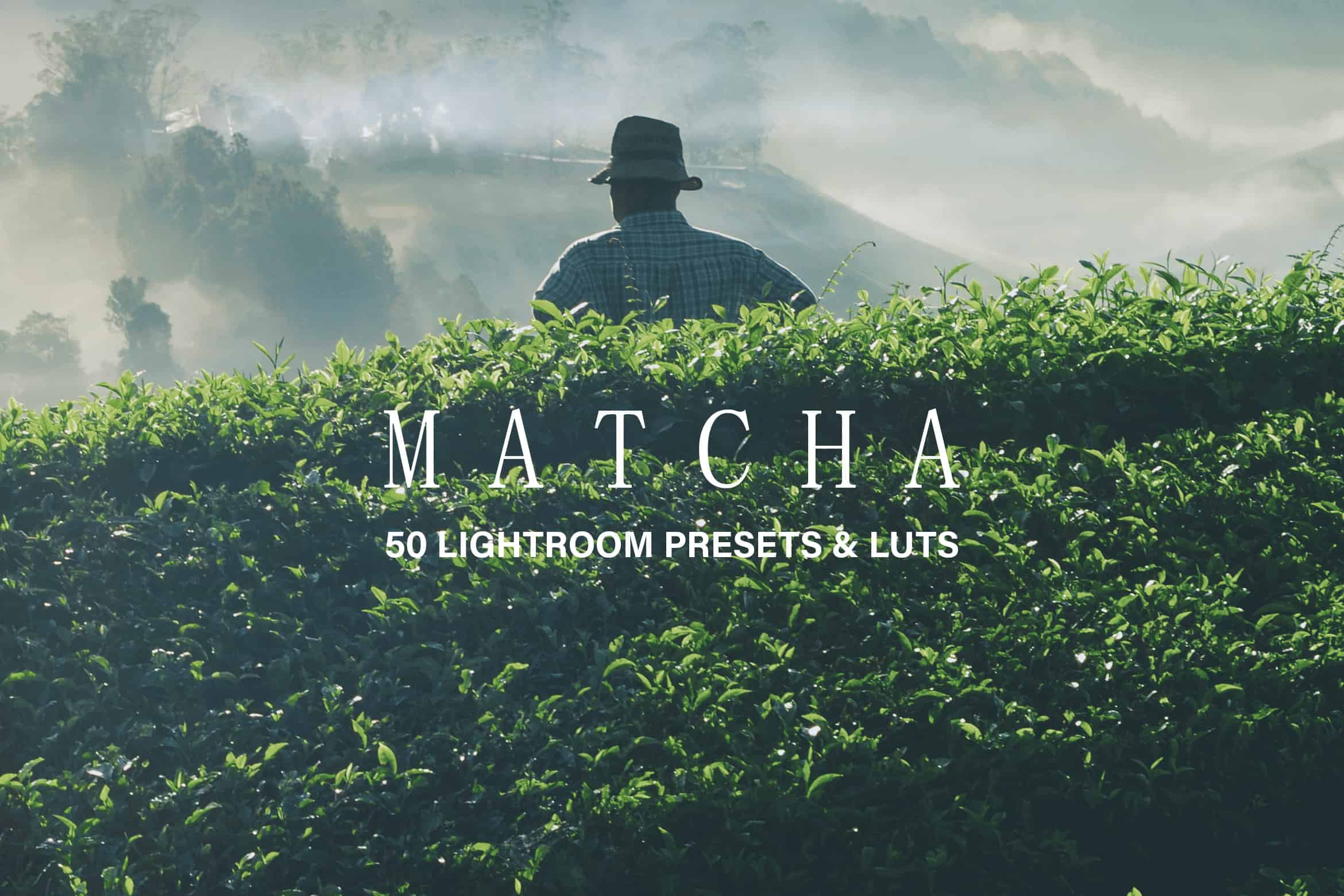 50 Matcha Lightroom Presets and LUTs