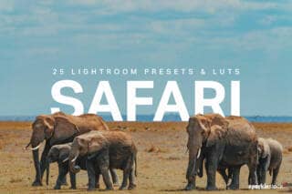 25 Safari Lightroom Presets and LUTs