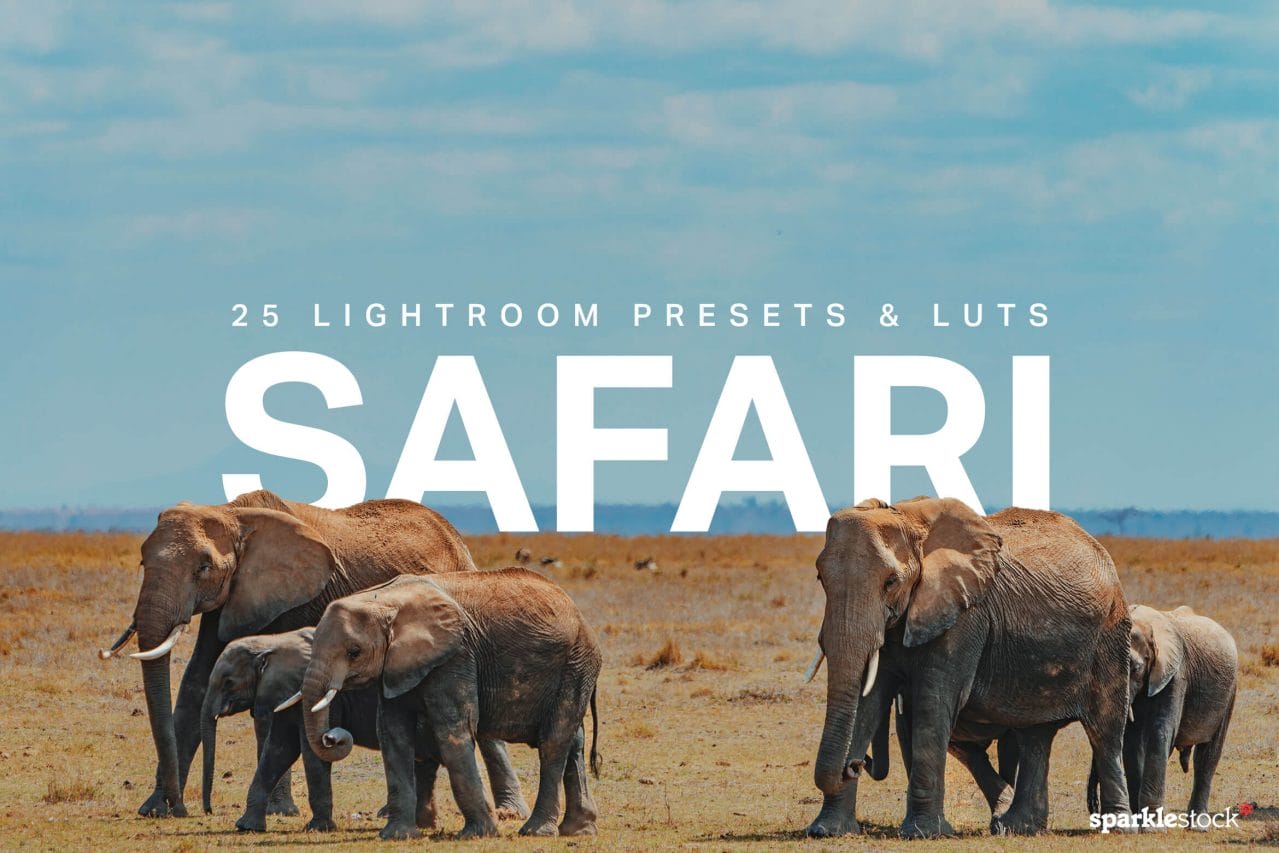 25 Safari Lightroom Presets and LUTs