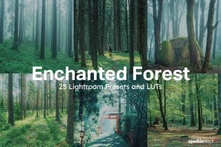 25 Enchanted Forest Lightroom Presets and LUTs