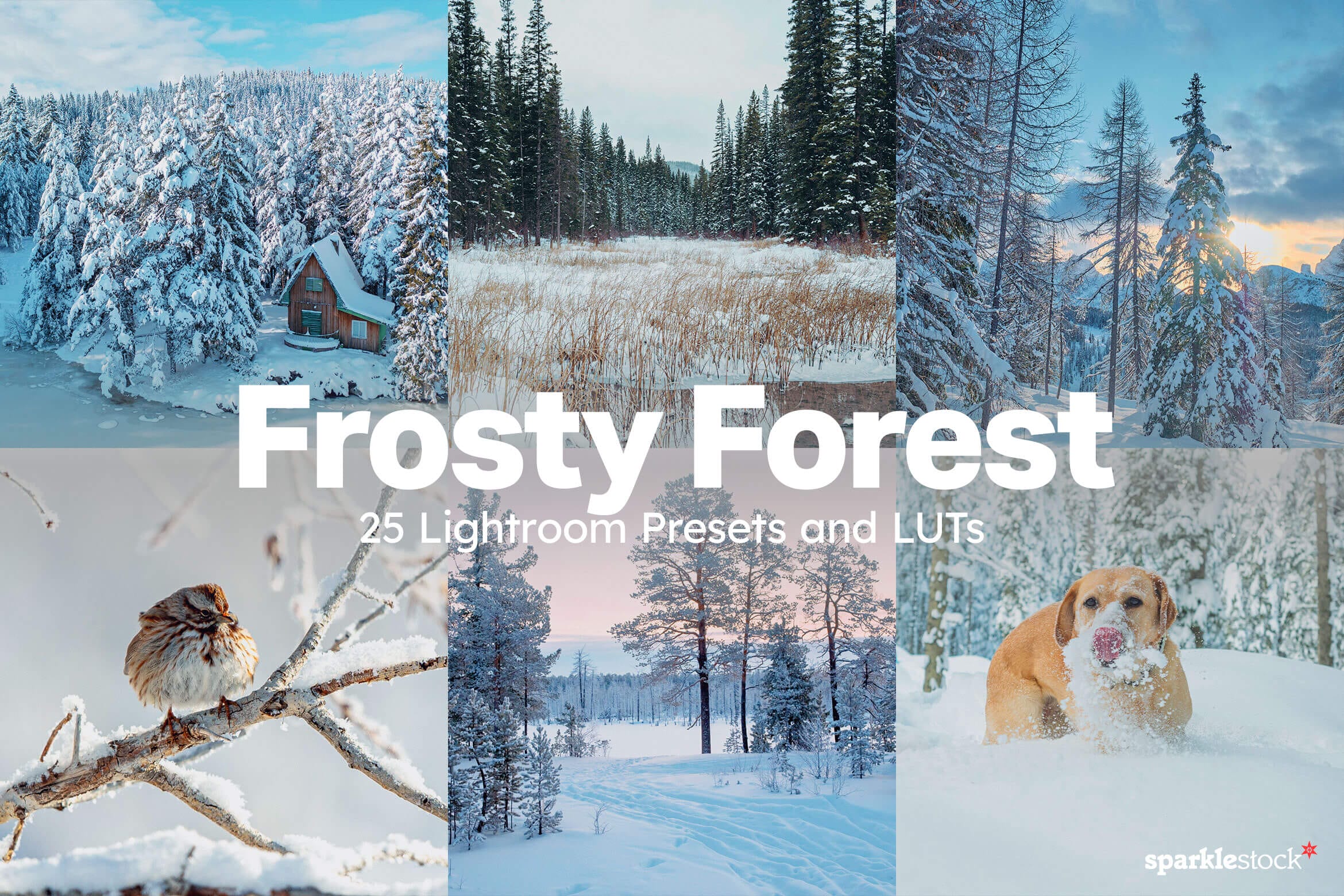 25 Frosty Forest Lightroom Presets and LUTs