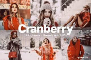 14 Cranberry Lightroom Presets and LUTs