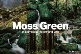 14 Moss Green Lightroom Presets and LUTs