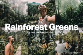 20 Rainforest Greens Lightroom Presets and LUTs