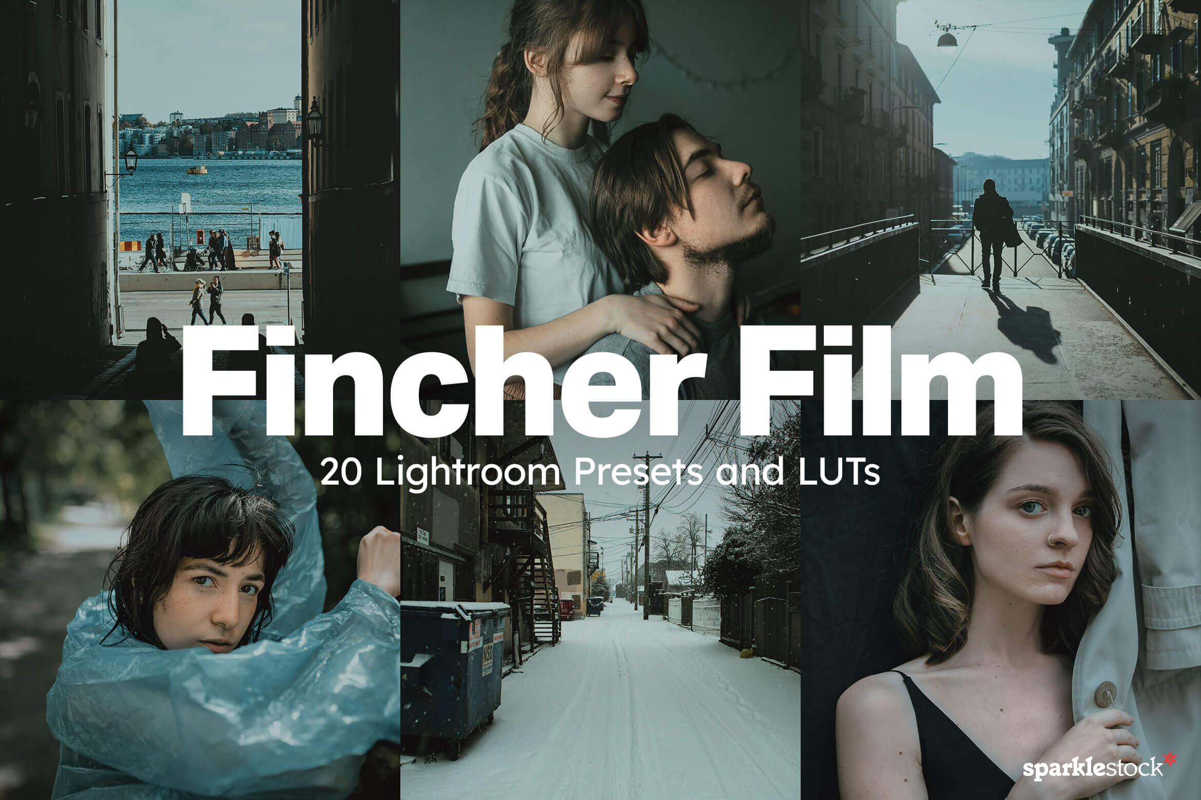20 Fincher Film Lightroom Presets and LUTs
