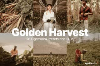 20 Golden Harvest Lightroom Presets and LUTs
