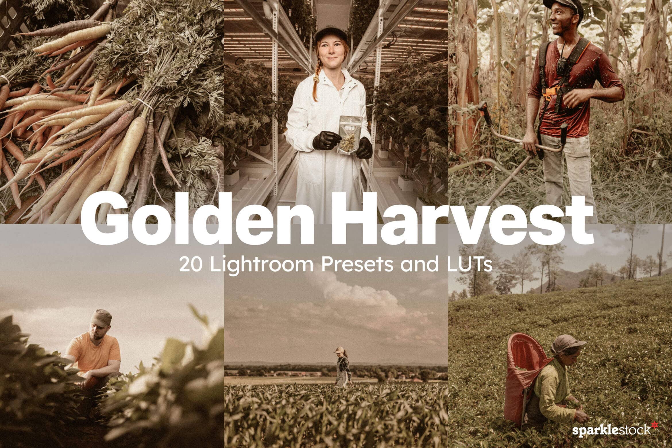 20 Golden Harvest Lightroom Presets and LUTs
