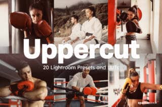 20 Uppercut Lightroom Presets and LUTs