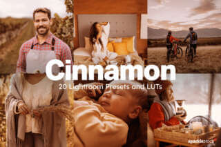 20 Cinnamon Lightroom Presets and LUTs