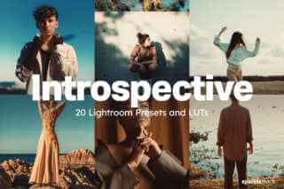 20 Introspective Lightroom Presets and LUTs